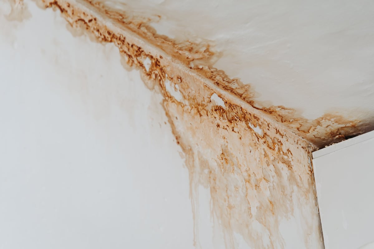streaks of dirty rusty water on white ceiling and wall, damage to sewer system, utility services concept