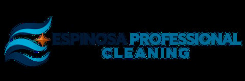 Espinosa Professional Cleaning logo with blue wavy design and text